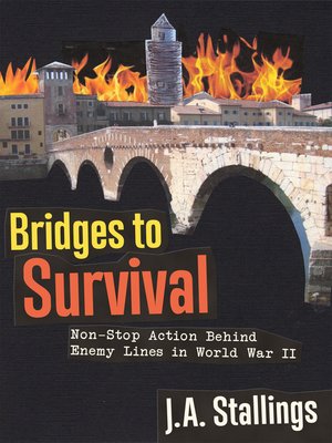 cover image of Bridges to Survival